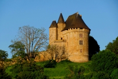 Ballon - Le château est mentionné dès le début du XIème siècle - Il aurait été construit par Guillaume Ier de Bellême afin de servir de point d’appui contre la famille des comtes du Maine (Source Internet, Mv287)