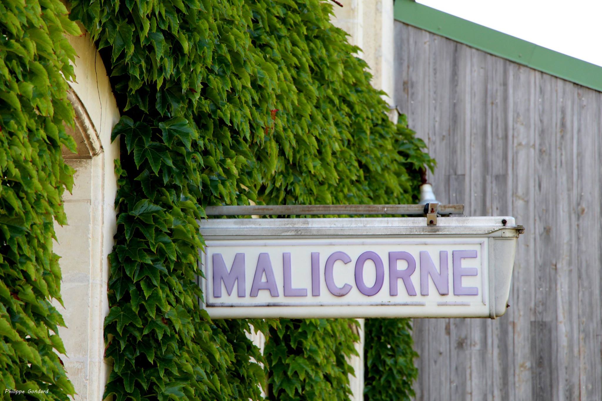 Malicorne sur Sarthe - L'ancien quai de la gare (Philippe Gondard)