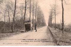 Circuit de la Sarthe 1906 - La Route entre Ardenay et Bouloire