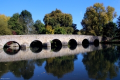 Yvré l'Evêque - La présence d'un pont est attestée dès le IXème siècle lors de la translation des reliques de Saint Liboire - Il a été fortement restauré au XIXème siècle (Philippe Gondard)
